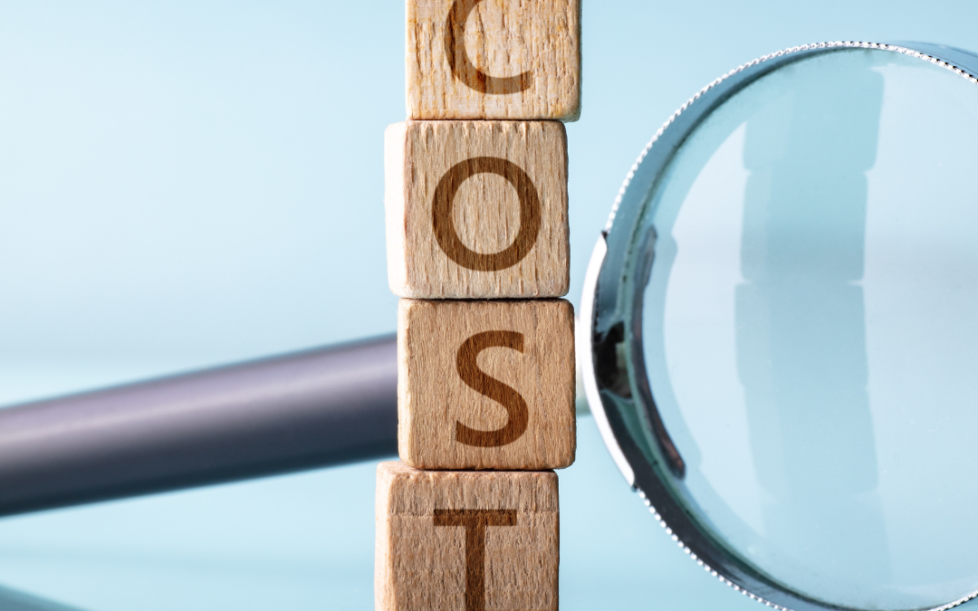 The Unseen Costs of DIY Divorces: Why Professional Guidance Matters