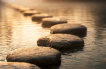 organized legal services and planning